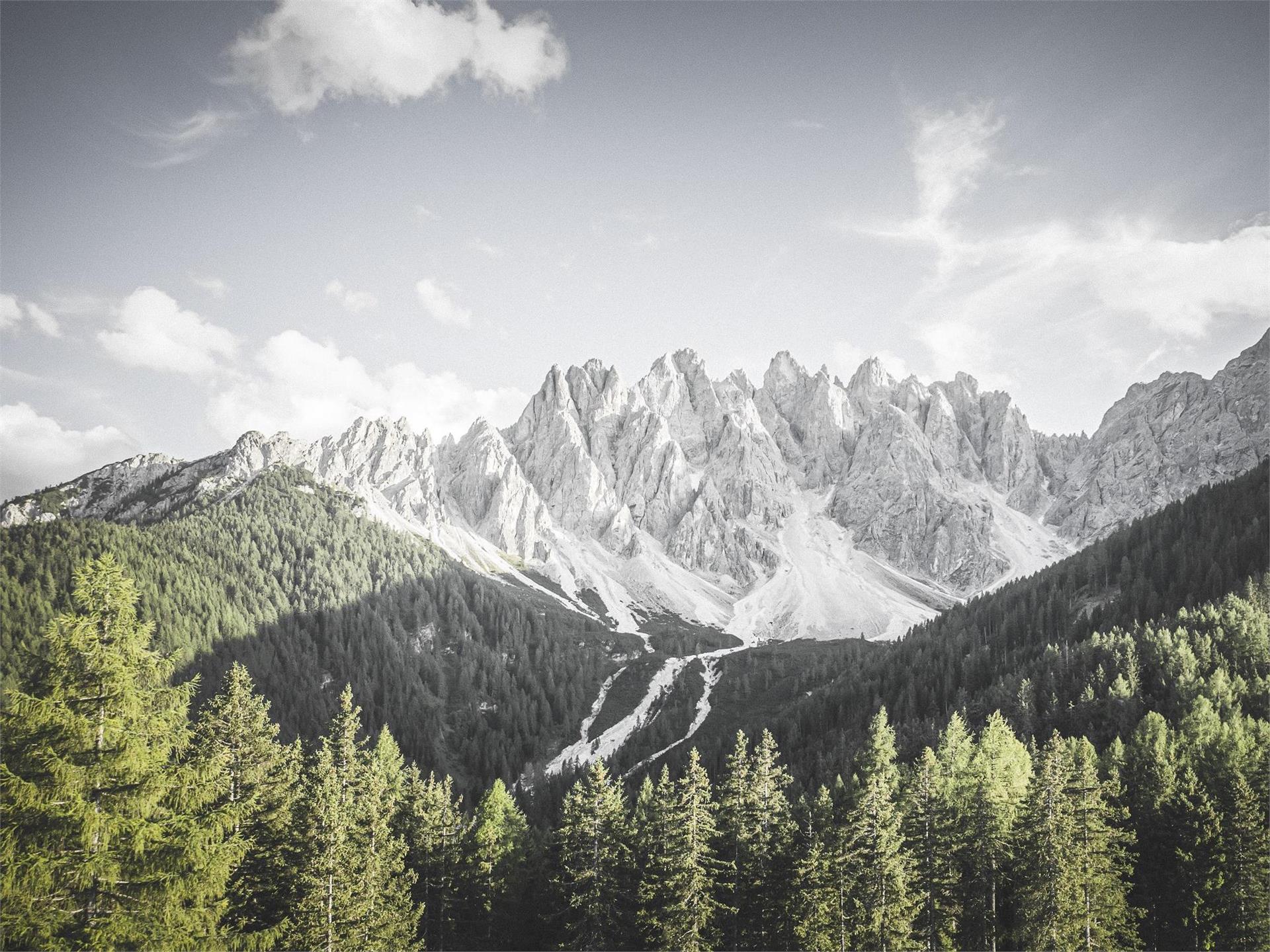 Escursione: Rifugio Gigante Baranci - Bagni di San Candido San Candido 1 suedtirol.info