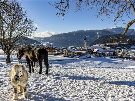 Winterwanderung: Kastelruth–Bremicher Platzl–Tiosels-Kastelruth Kastelruth 1 suedtirol.info