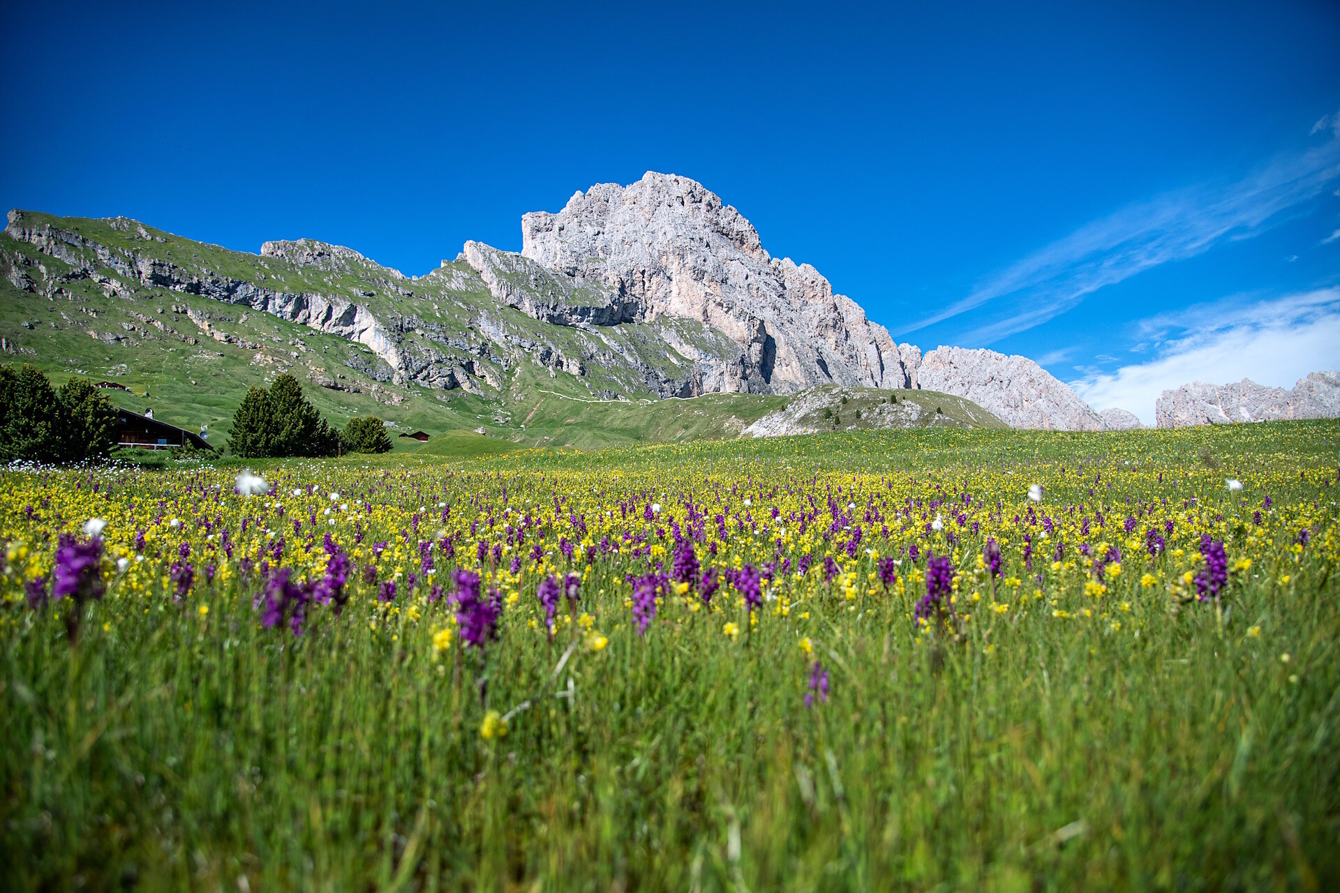 Seceda - Ridge Line from Ortisei - Dolomites Region Val Gardena - #5 - suedtirol.info