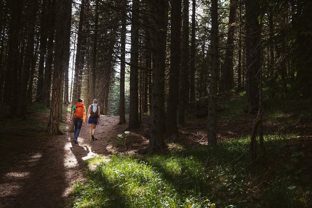 Hike from Ortisei to the Seceda area