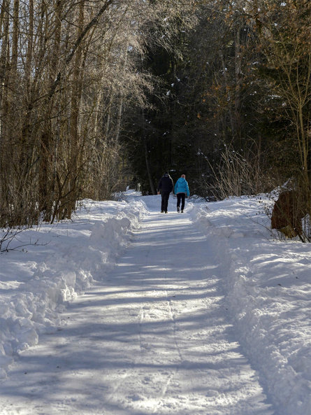 Winter hike Gassl Olang/Valdaora 1 suedtirol.info