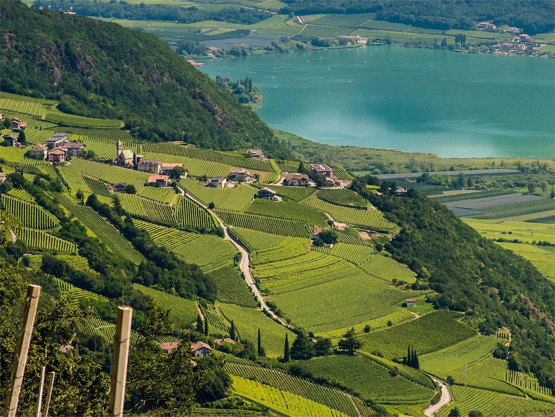 Sentiero Lago di Caldaro