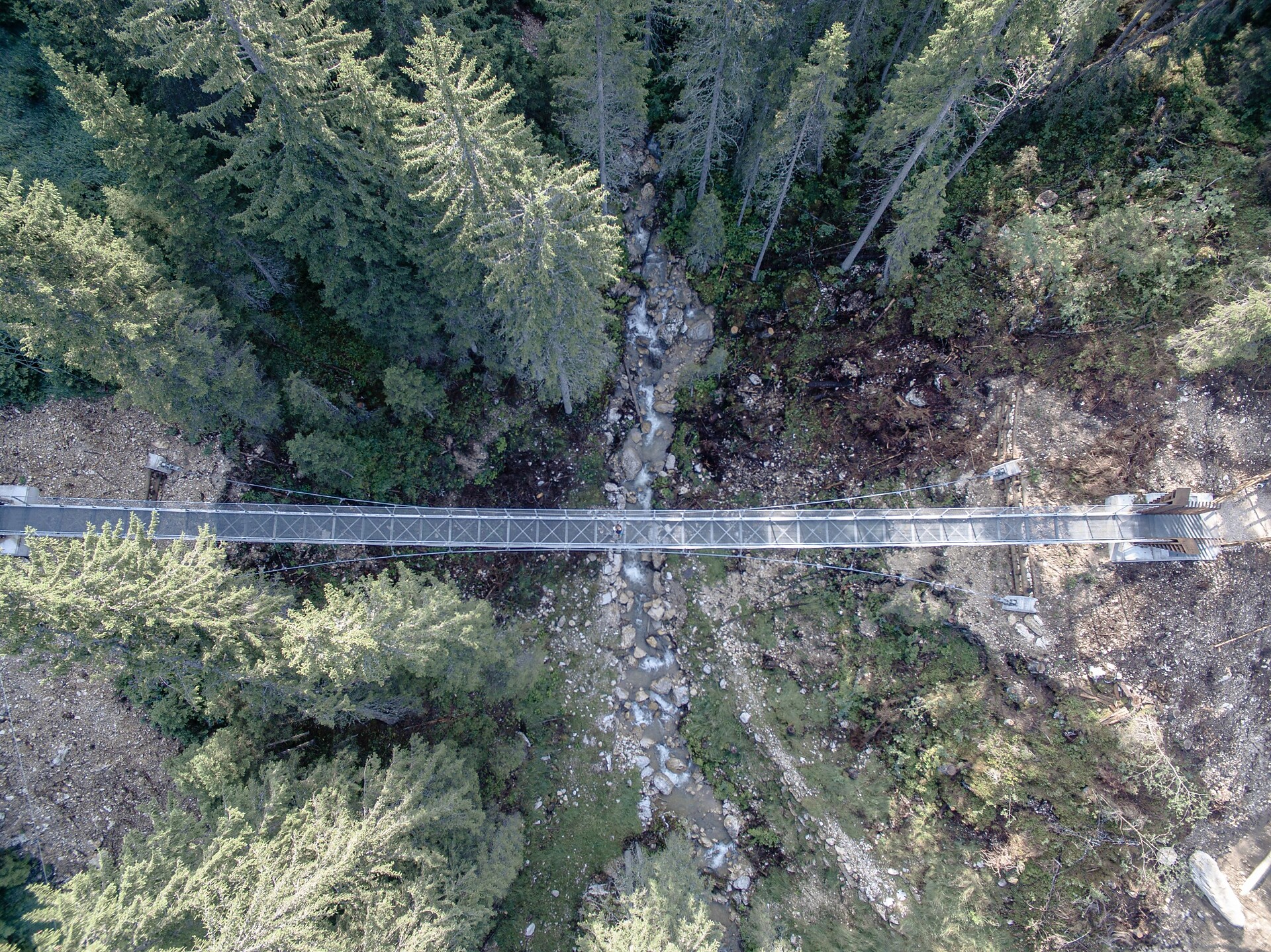 Suspension bridge