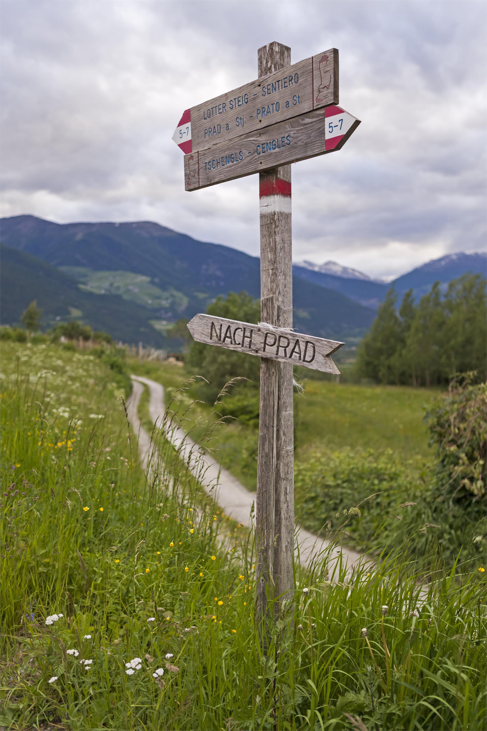 Wanderung auf dem Lottersteig Prad am Stilfser Joch 1 suedtirol.info