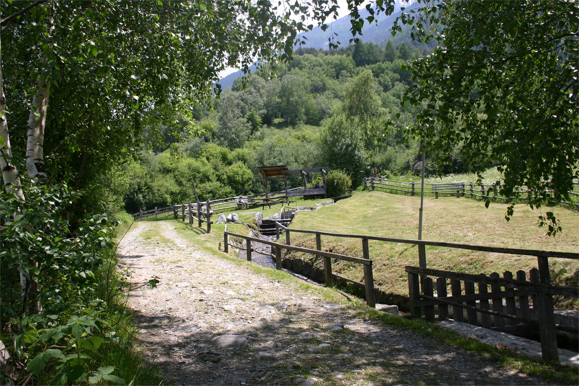 Wanderung auf dem Lottersteig Prad am Stilfser Joch 2 suedtirol.info