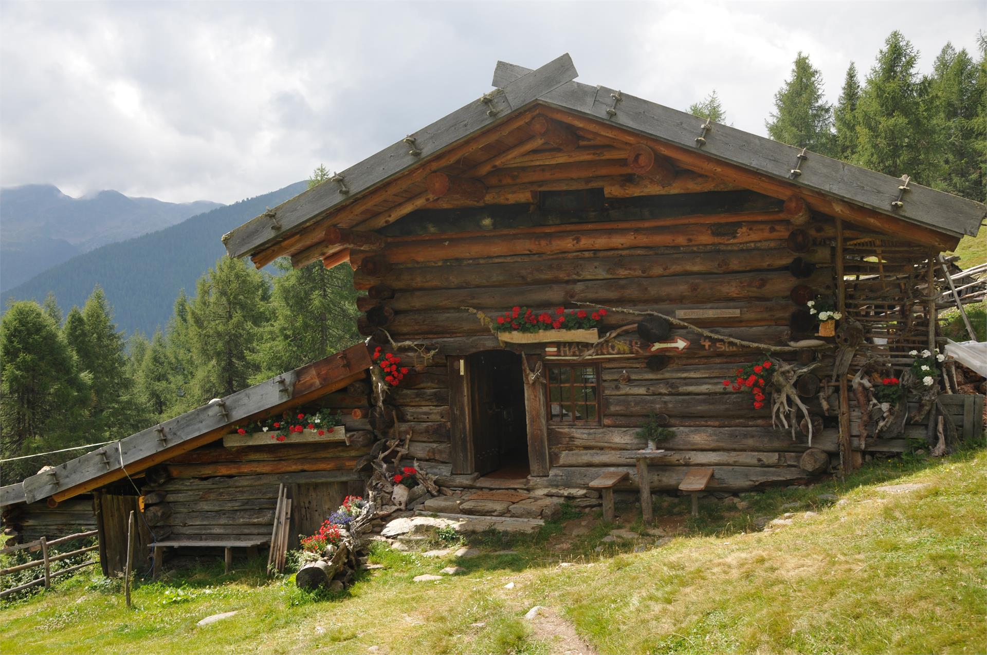 Escursione alla malga "Kaserfeld" Proves 1 suedtirol.info