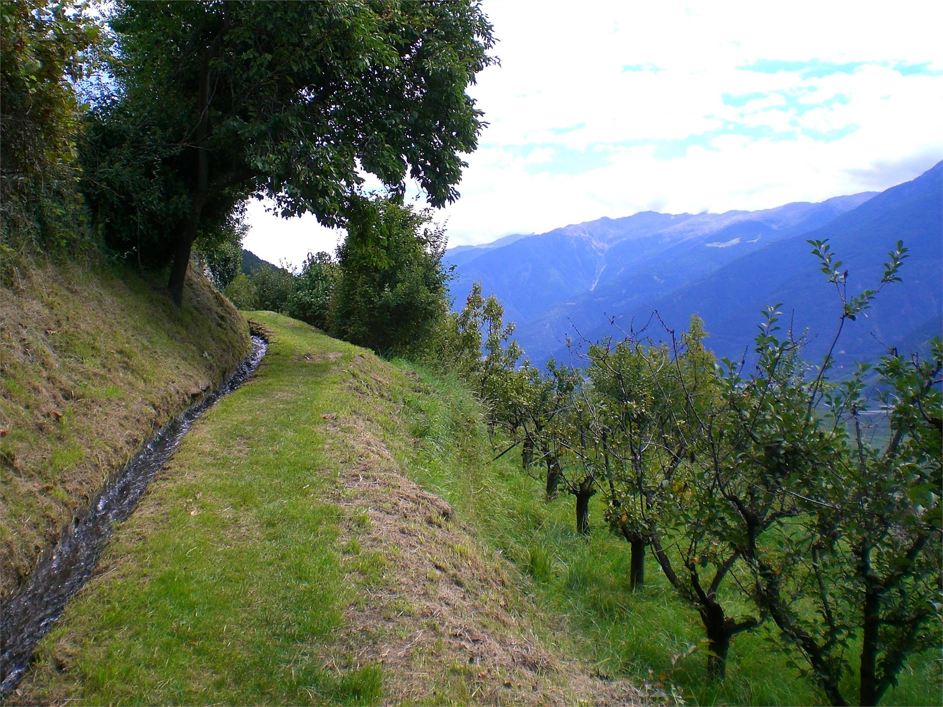 Ilswaal Schlanders 2 suedtirol.info