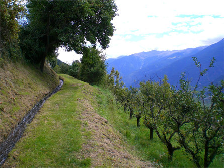 Hike along the Ilswaal Canal Schlanders/Silandro 2 suedtirol.info