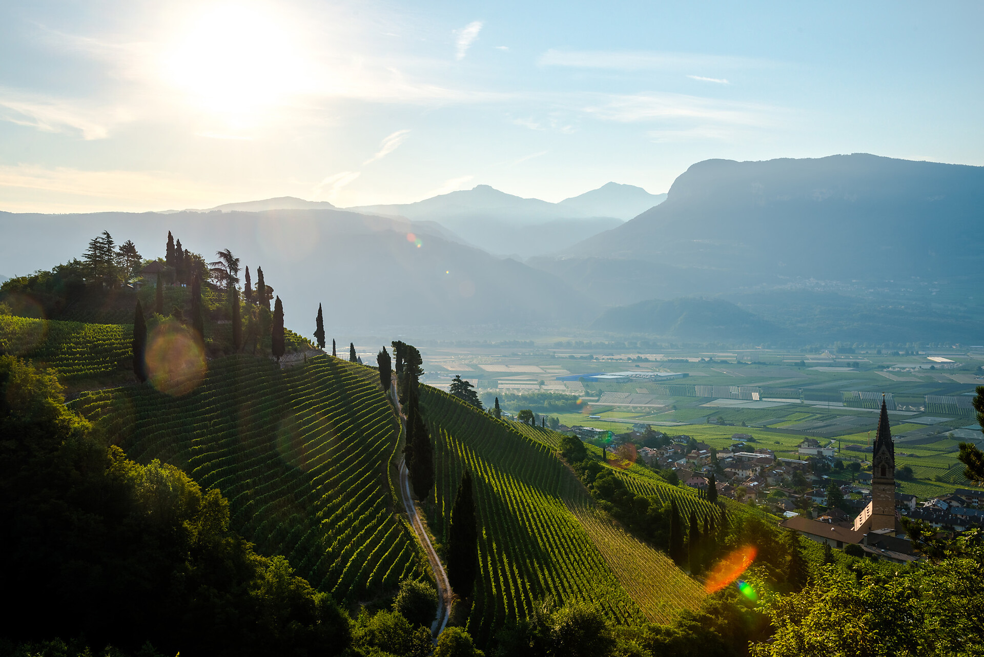 Passeggiata per le famiglie Kastelaz (Termeno-Cortaccia) Termeno sulla Strada del Vino 1 suedtirol.info