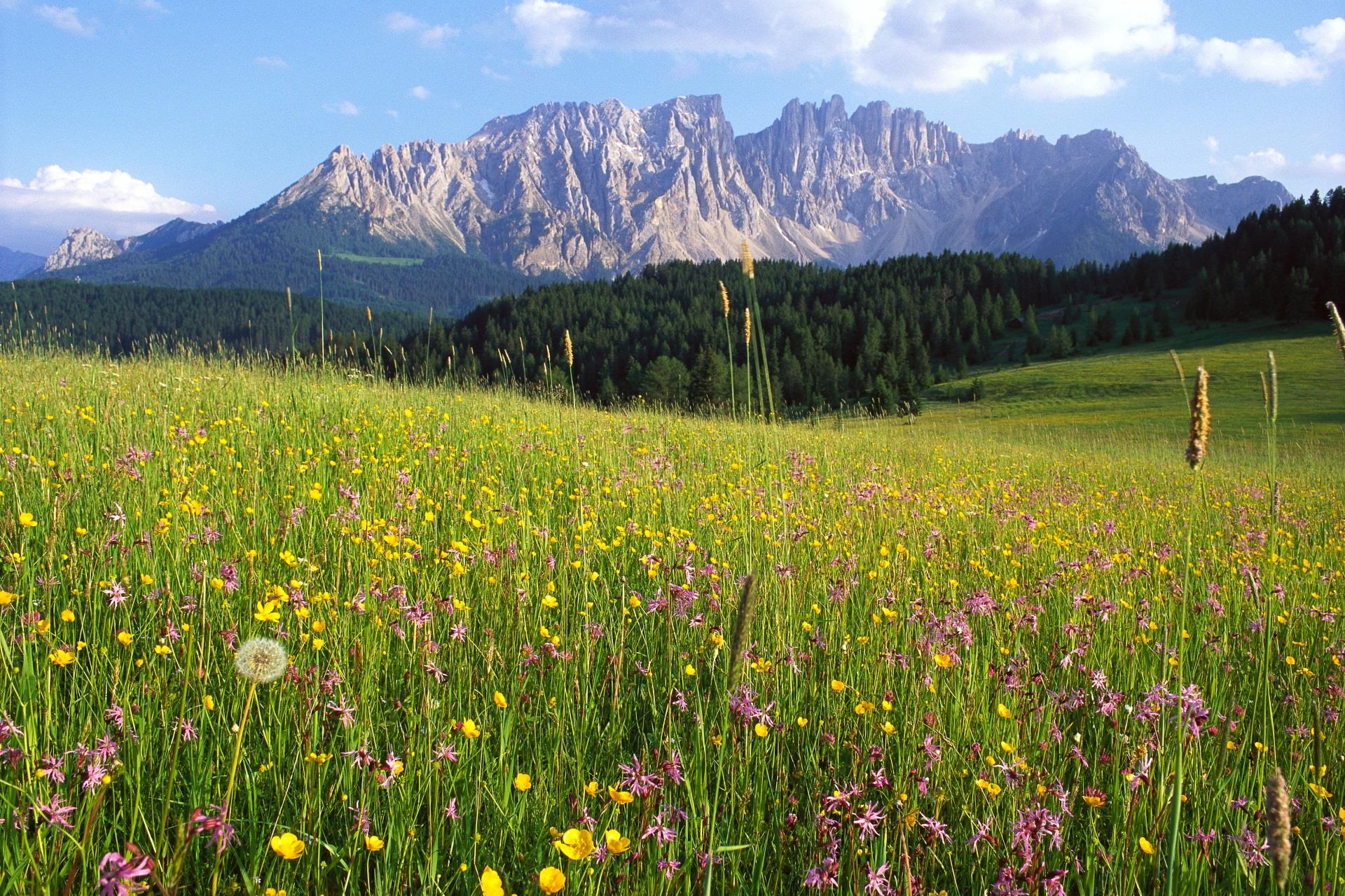 Wanderung von St. Zyprian/Nigerpass/Frommer Alm zum Karerpass Tiers am Rosengarten 2 suedtirol.info