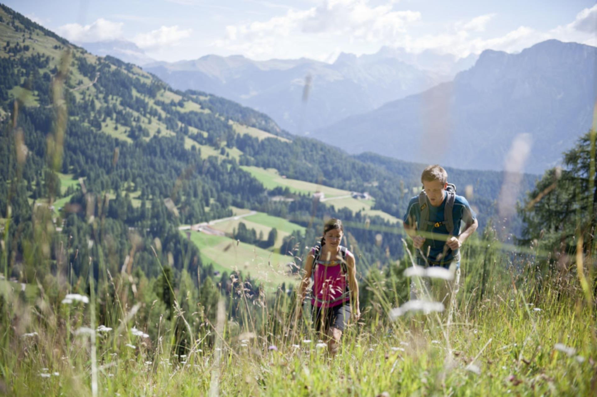 Wanderung von St. Zyprian/Nigerpass/Frommer Alm zum Karerpass Tiers am Rosengarten 3 suedtirol.info
