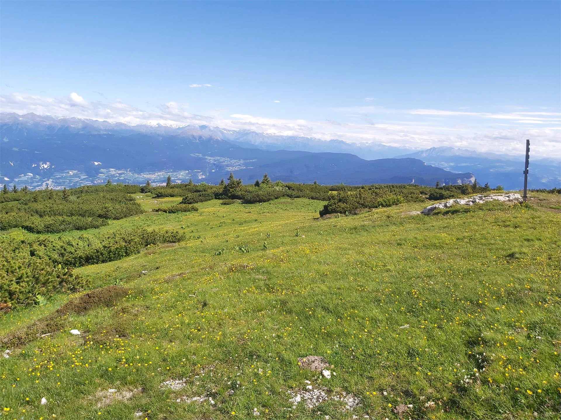 Escursione dal passo Mendola al monte Roen Caldaro sulla Strada del Vino 13 suedtirol.info