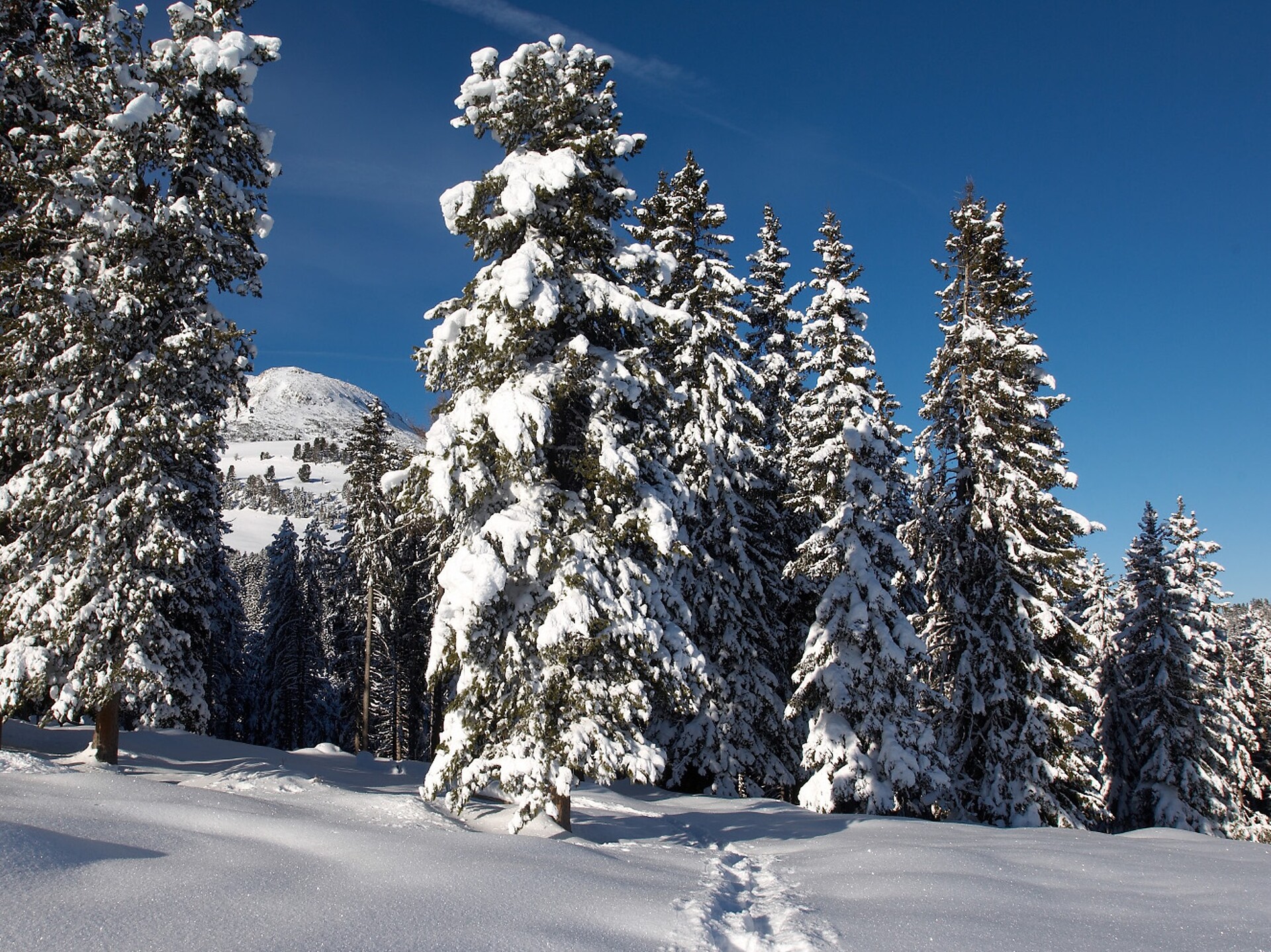 Winter atmosphere at Aldino and Weisshorn