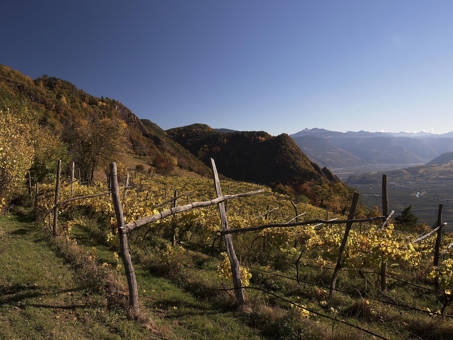 Itinerario Masi Tschirgl