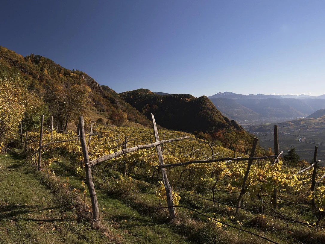 Hiking tour "Tschirglhöfe"