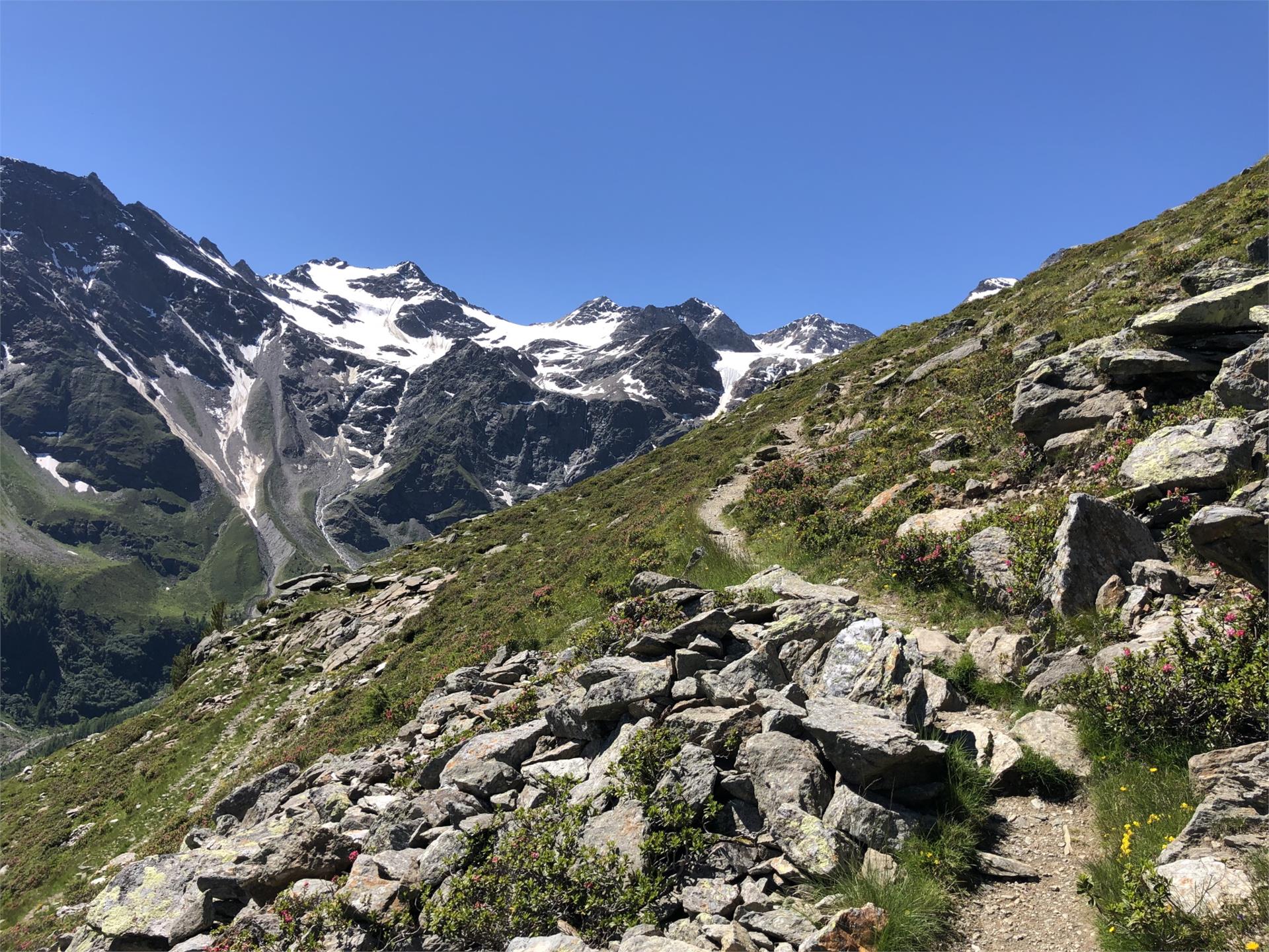 Wanderung zum Saurüssl Laas 4 suedtirol.info