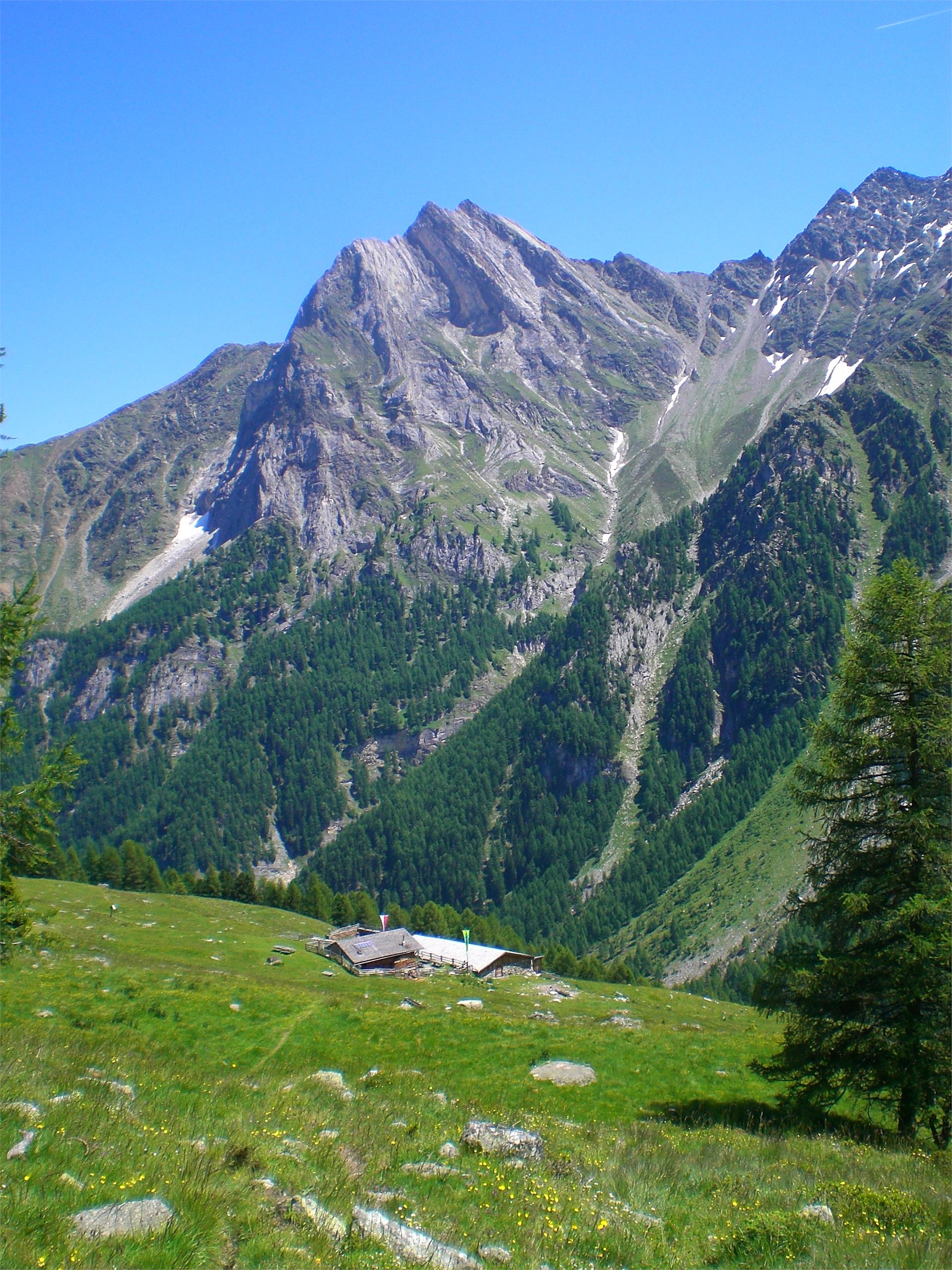 Wanderung zum Saurüssl Laas 6 suedtirol.info