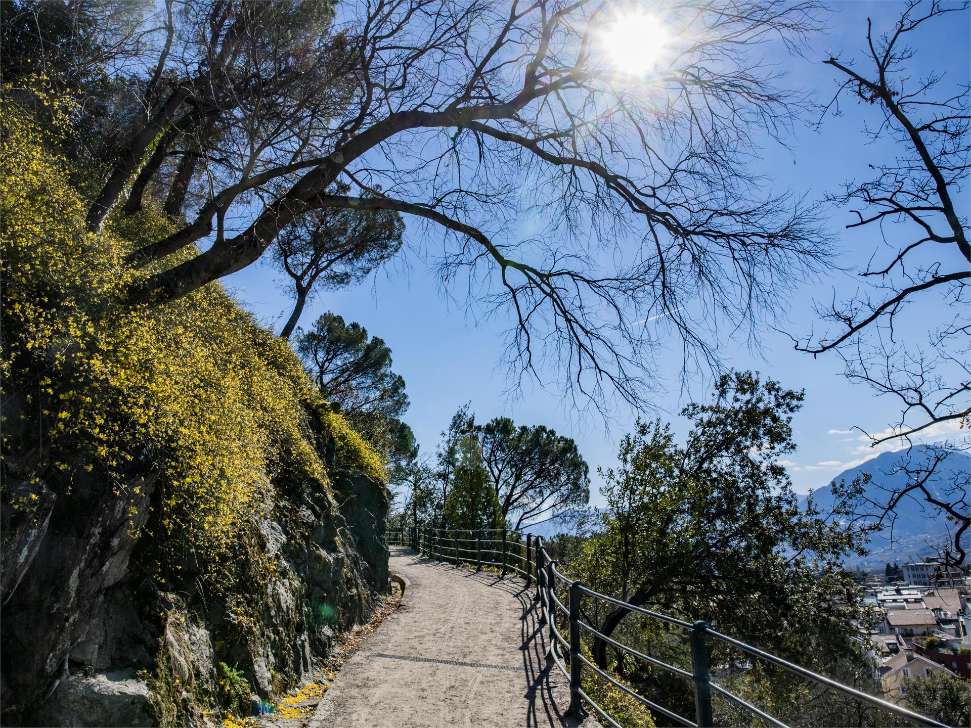 Wanderung entlang des Tappeinerweges Tirol 1 suedtirol.info