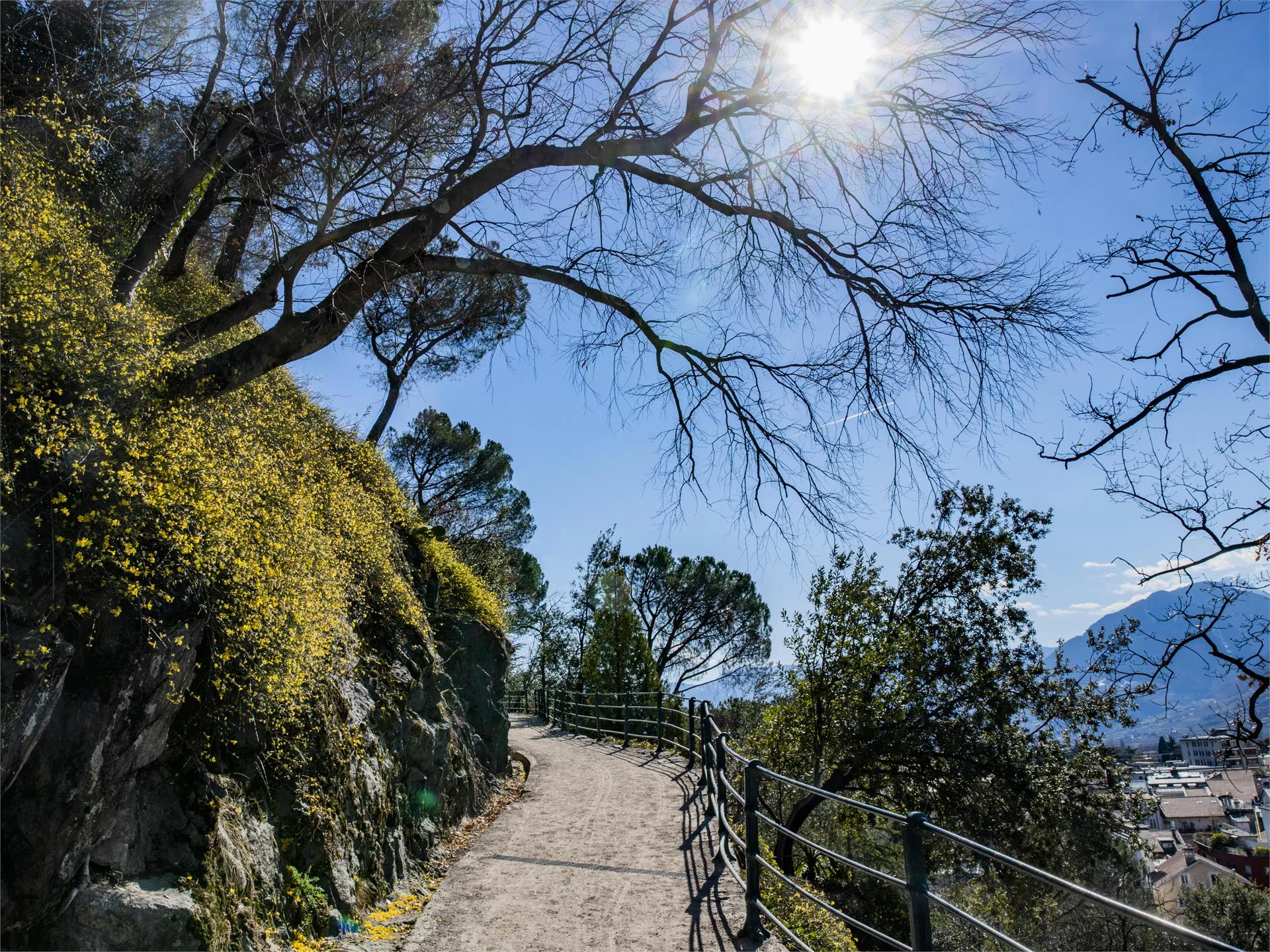 Escursione sulla Passeggiata Tappeiner Tirolo 1 suedtirol.info
