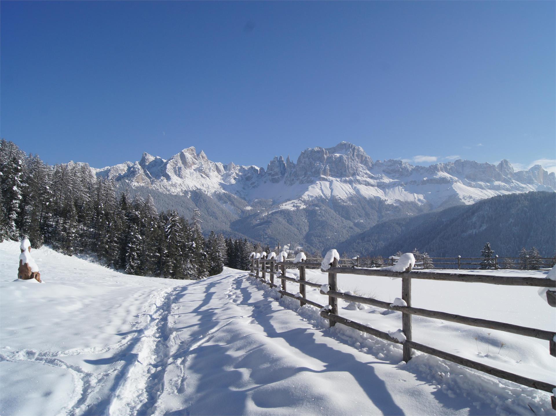 Winterwanderung auf den Tschafon und die Völseggspitze Völs am Schlern 1 suedtirol.info