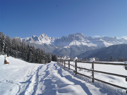 Escursione Invernale sul Monte Cavone e sul Monte Balzo Fiè allo Sciliar 1 suedtirol.info