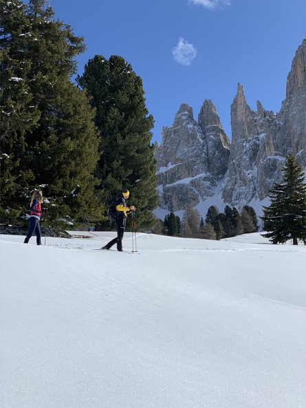 Escursione Invernale sul Monte Cavone e sul Monte Balzo Fiè allo Sciliar 2 suedtirol.info