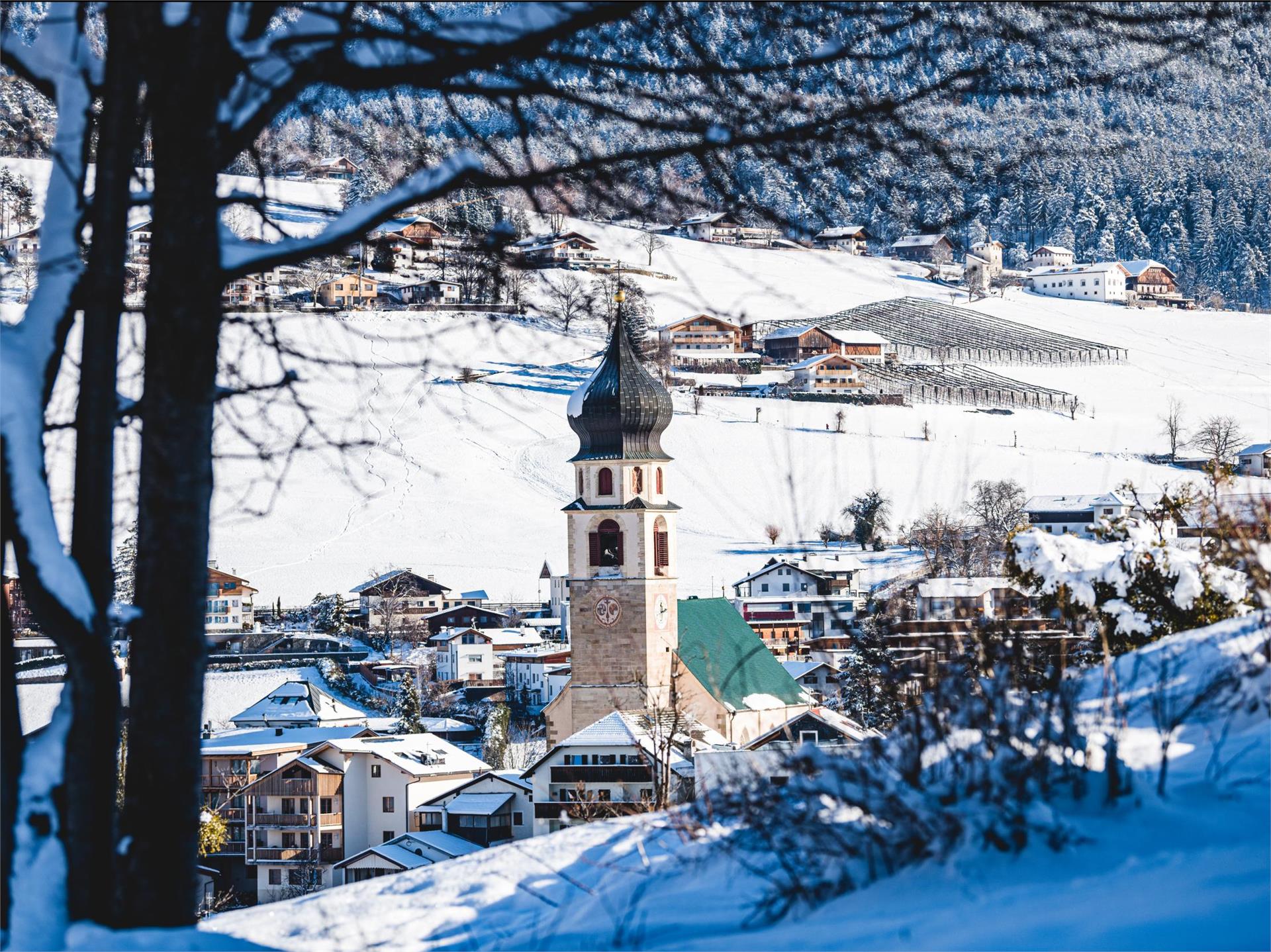 Winter hike: Völs am Schlern - Prösels Völs am Schlern/Fiè allo Sciliar 2 suedtirol.info