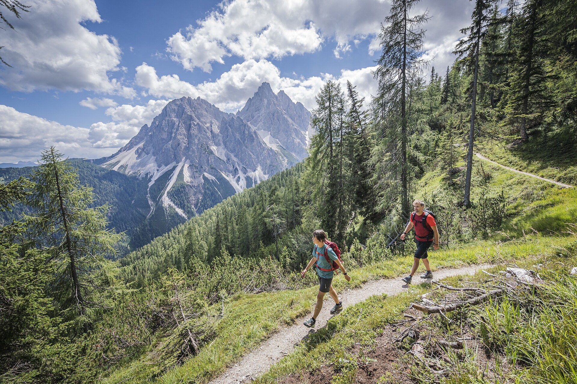 Wanderung: Innichen - Haunoldköpfl - Dolomitenregion 3 Zinnen - #3 - suedtirol.info
