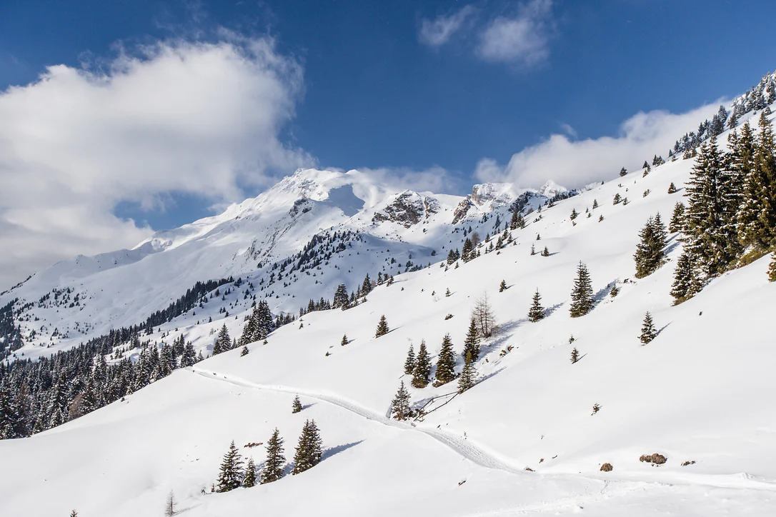 Snow shoe hike to the Kuhalm