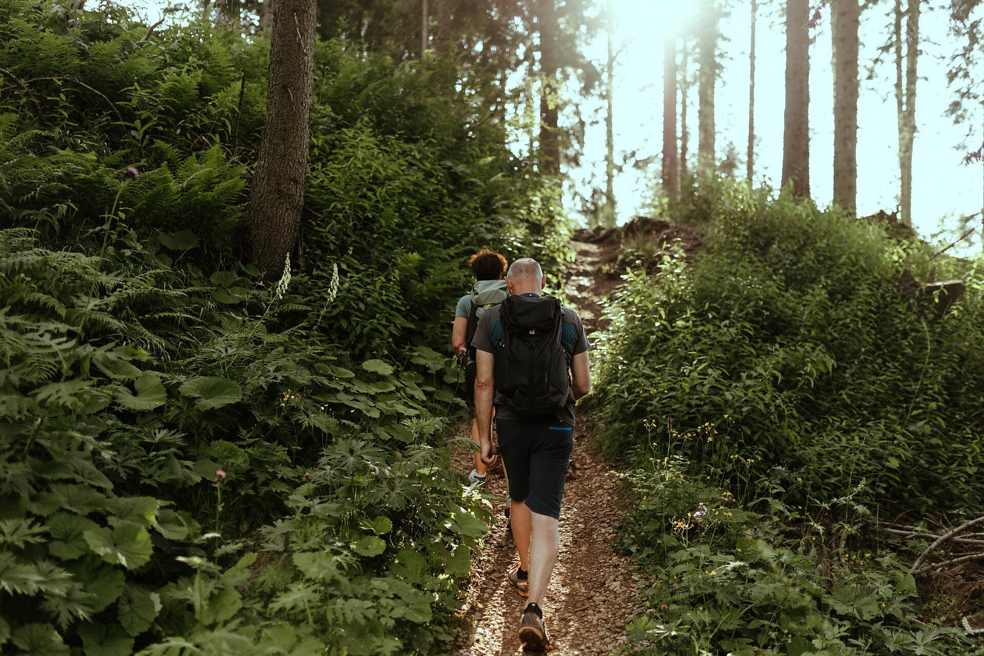 Wanderweg