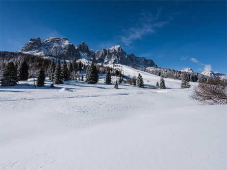Winter hike with buggy: Sesto – Innerfeldtal/Val Campo di Dentro Sexten/Sesto 1 suedtirol.info