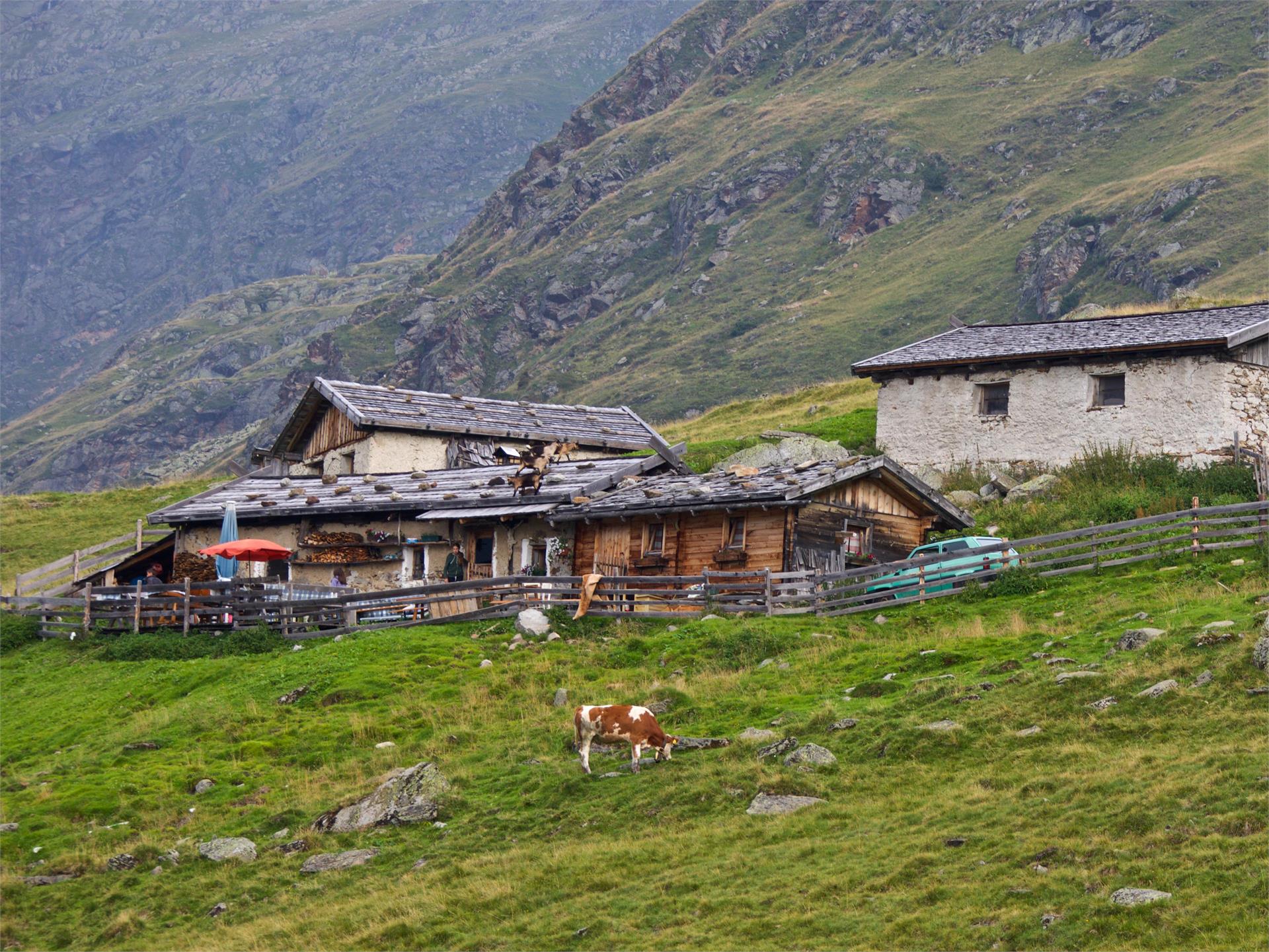 Excursion to the hut Aglsalm Ratschings/Racines 1 suedtirol.info
