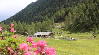 Von Obertal zur Bergalm - Ratschings - #1 - suedtirol.info