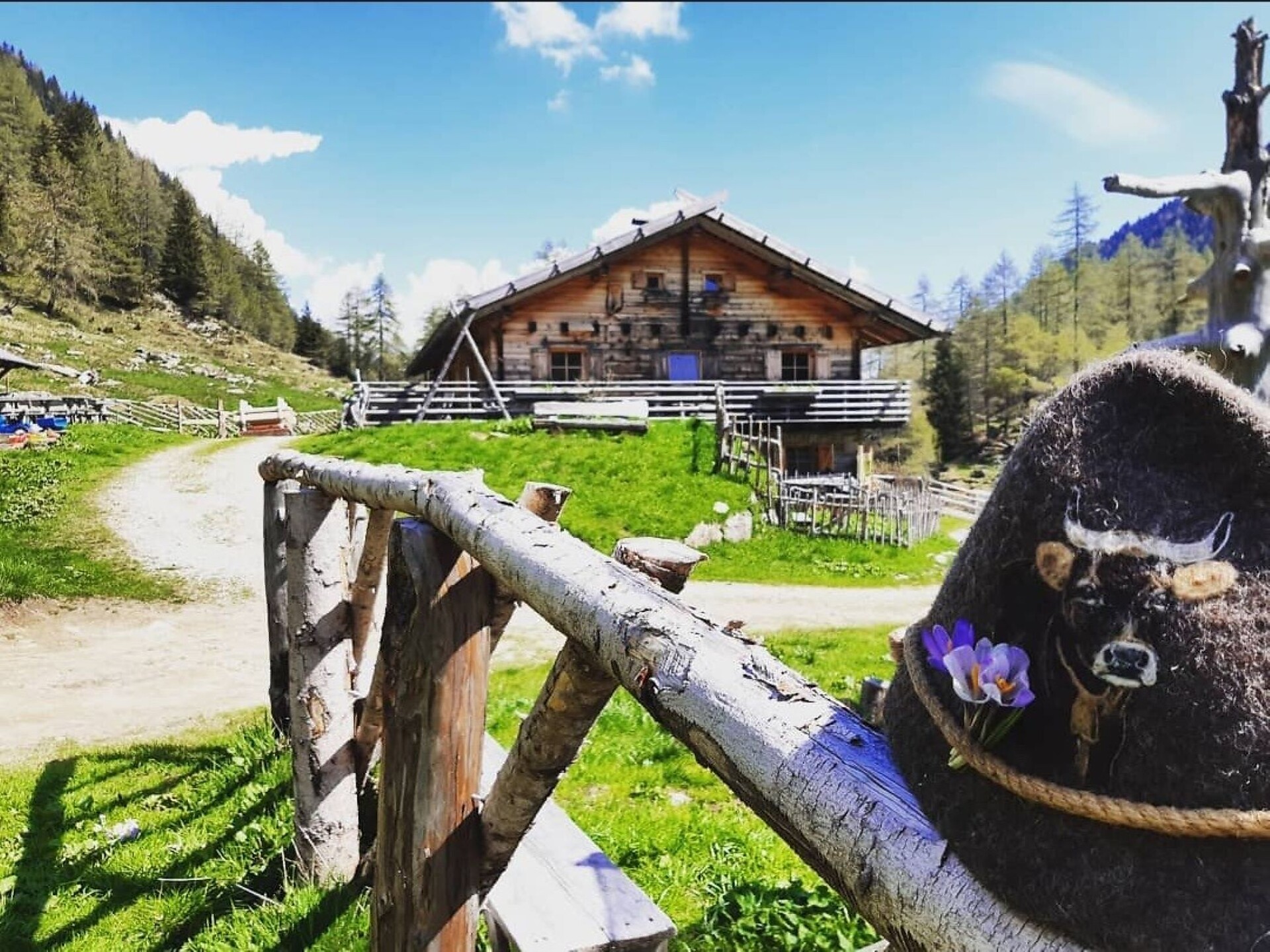 Excursion to the hut Bergalm - Sterzing/Vipiteno and environs - #1 - suedtirol.info
