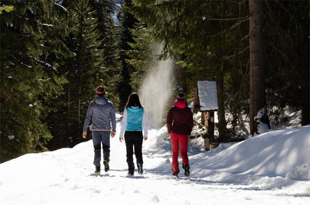 Winterwanderung zu den Heiligen drei Brunnen Stilfs 1 suedtirol.info