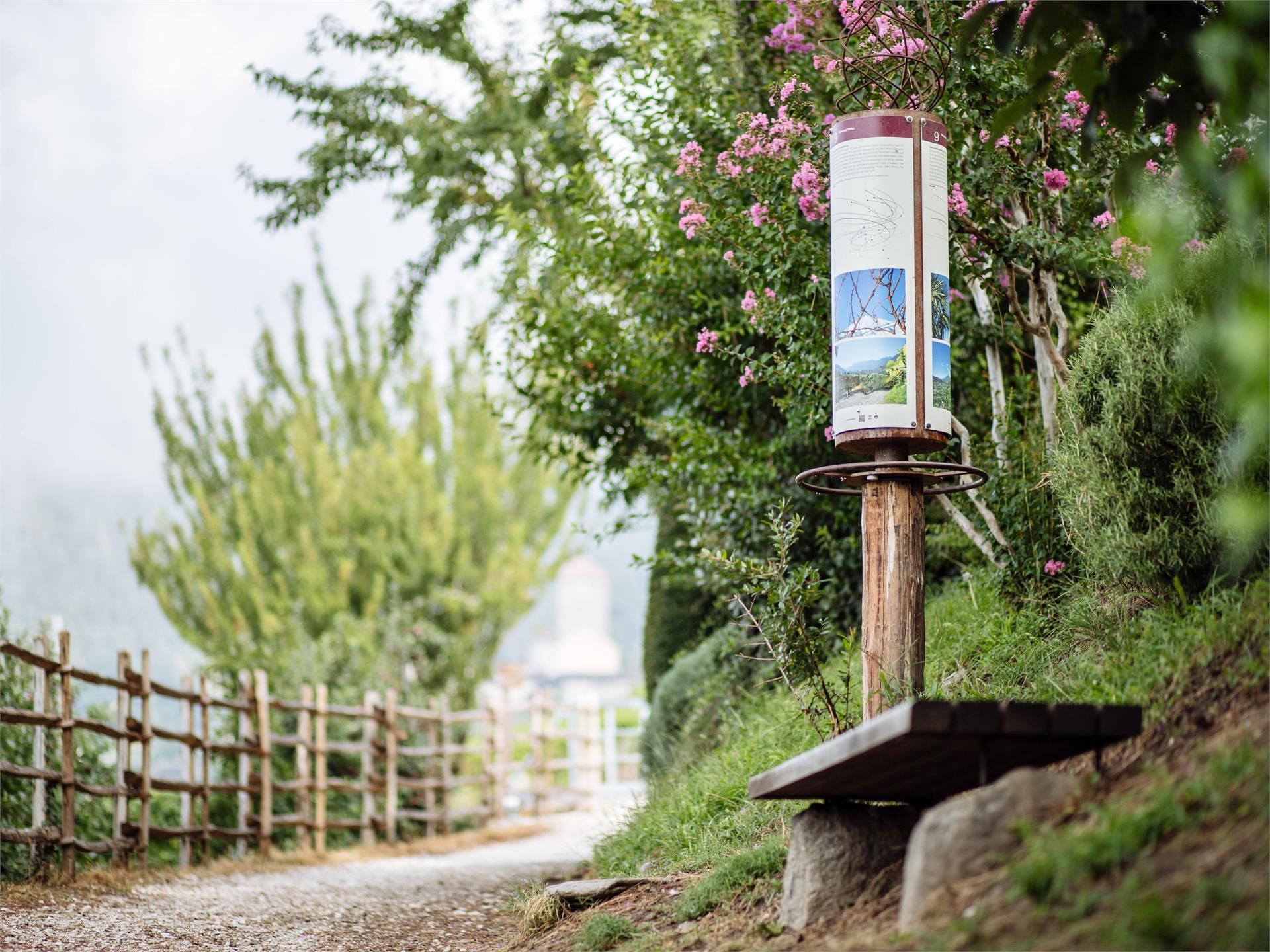 Wanderung entlang des Weinweges Tirol 1 suedtirol.info