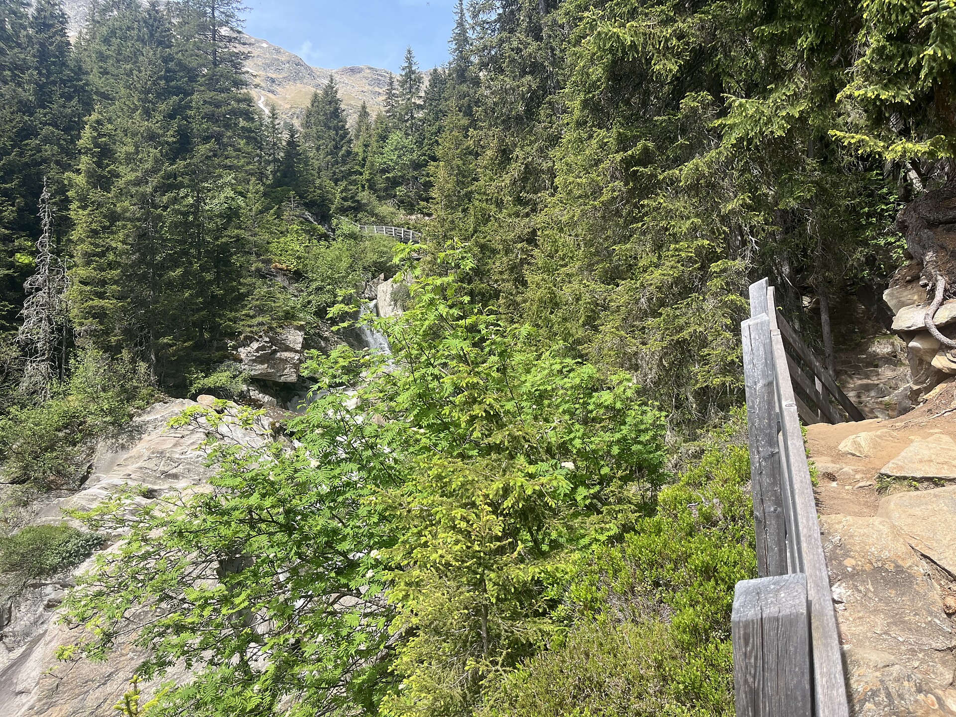 Von Maiern zur Aglsbodenalm - Sterzing und Umgebung - #4 - suedtirol.info