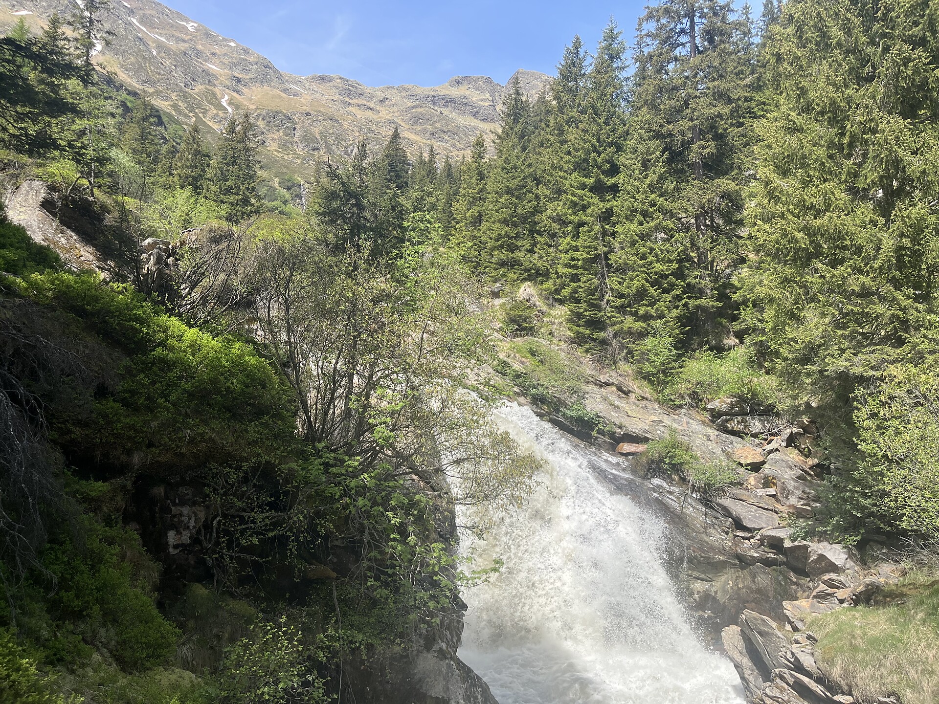 Von Maiern zur Aglsbodenalm - Sterzing und Umgebung - #5 - suedtirol.info