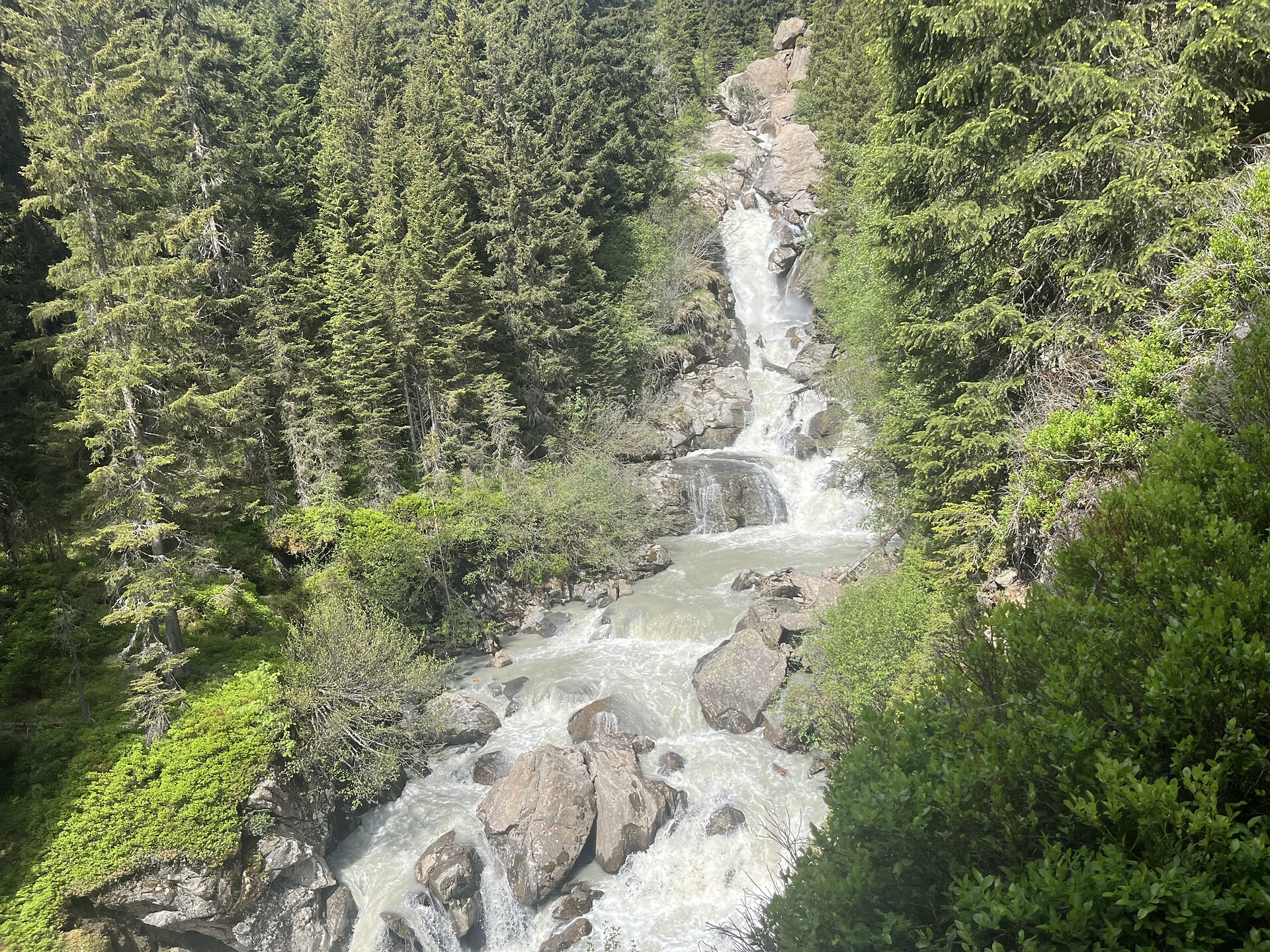 Von Maiern zur Aglsbodenalm - Sterzing und Umgebung - #3 - suedtirol.info