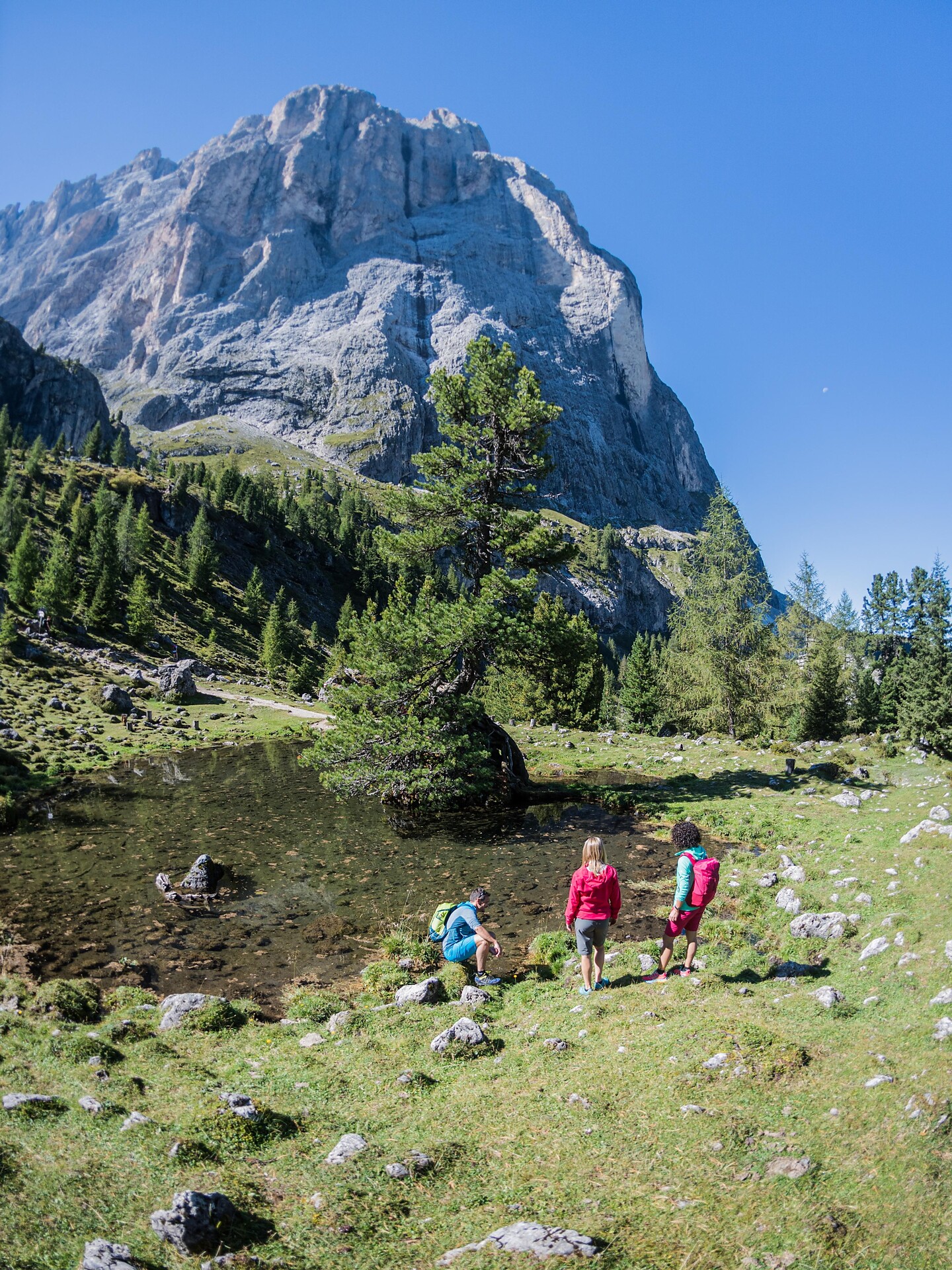 Below the Sassolungo