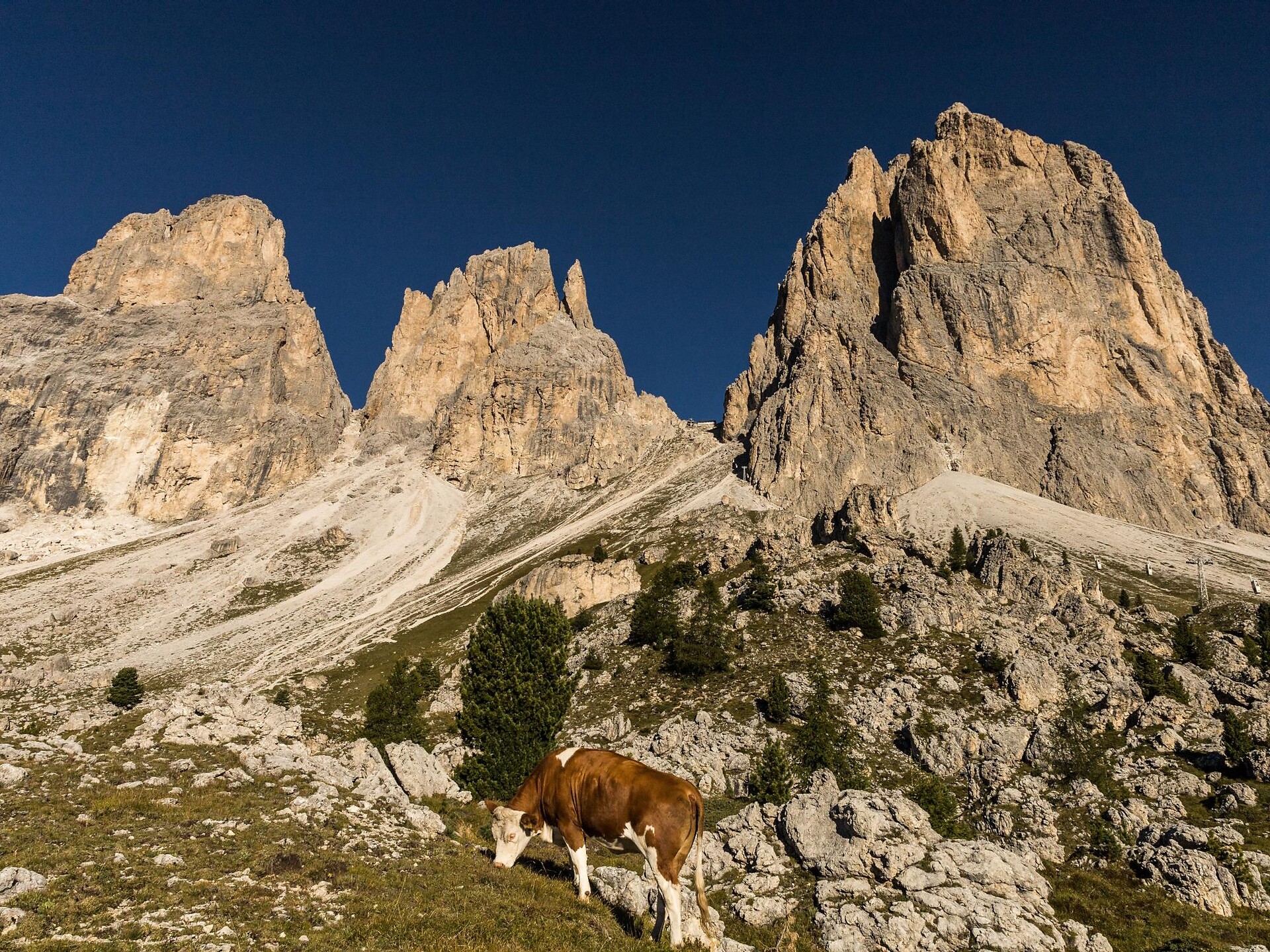 Wanderung von St. Christina zum Sellajoch - Dolomitenregion Gröden - #4 - suedtirol.info