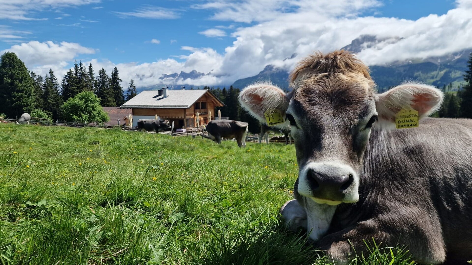 Hike to the Lieg hut - Dolomites Region Eggental - #3 - suedtirol.info