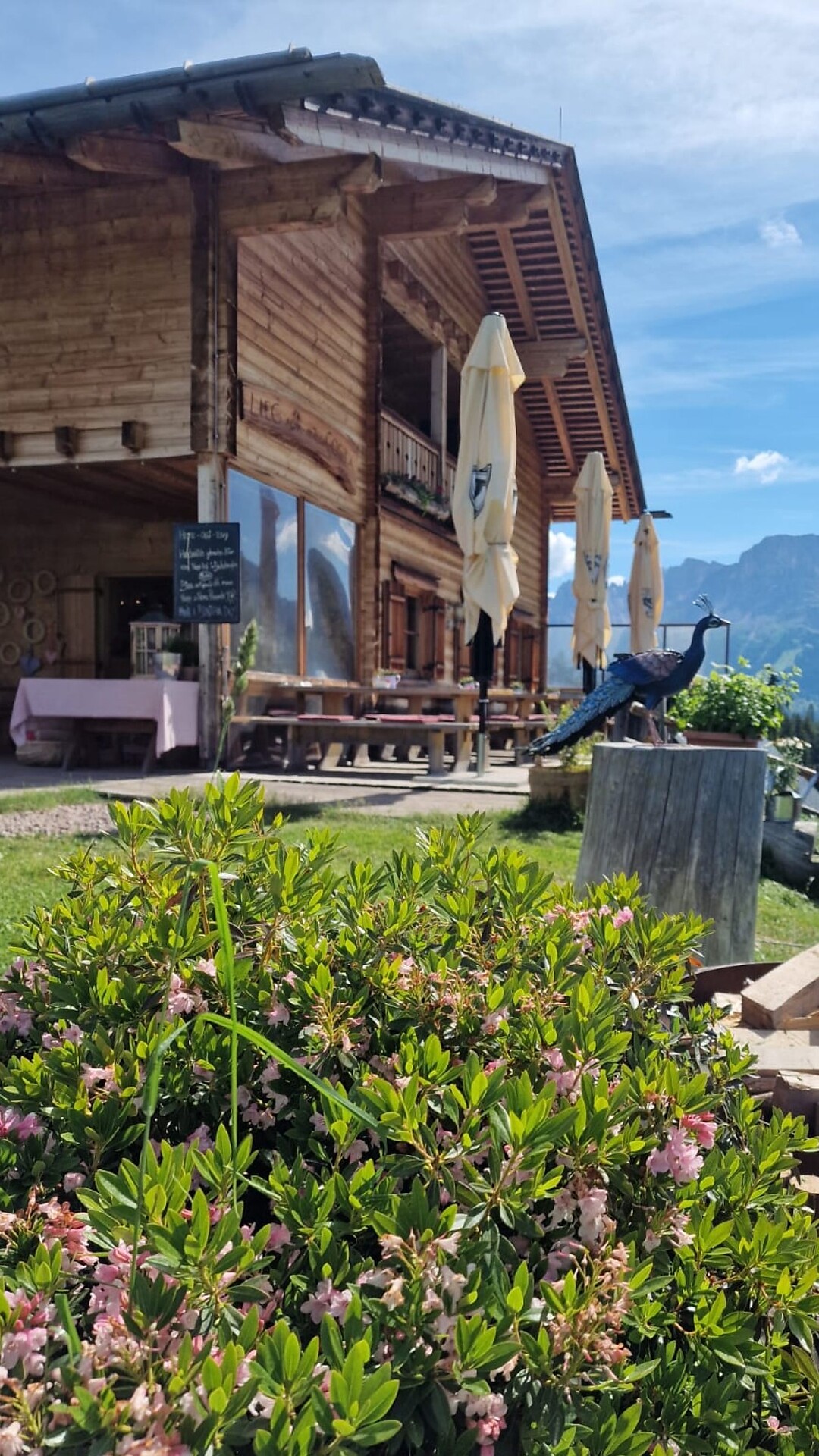 Hike to the Lieg hut - Dolomites Region Eggental - #2 - suedtirol.info