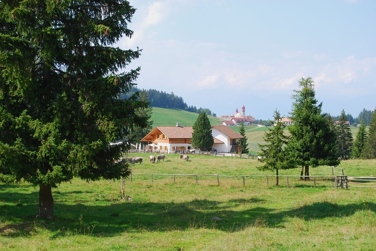 Petersberger Leger Alm