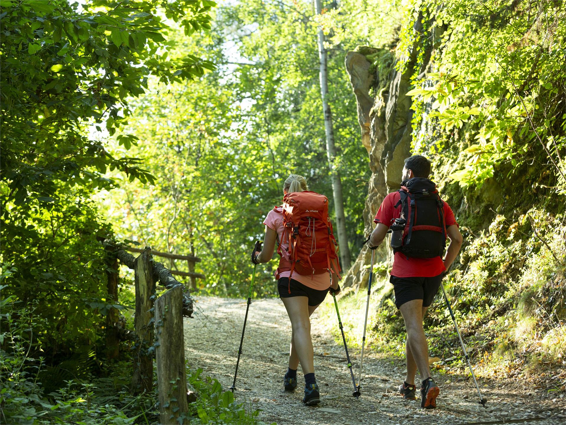 Wandern am Marlinger Höhenweg Marling 3 suedtirol.info