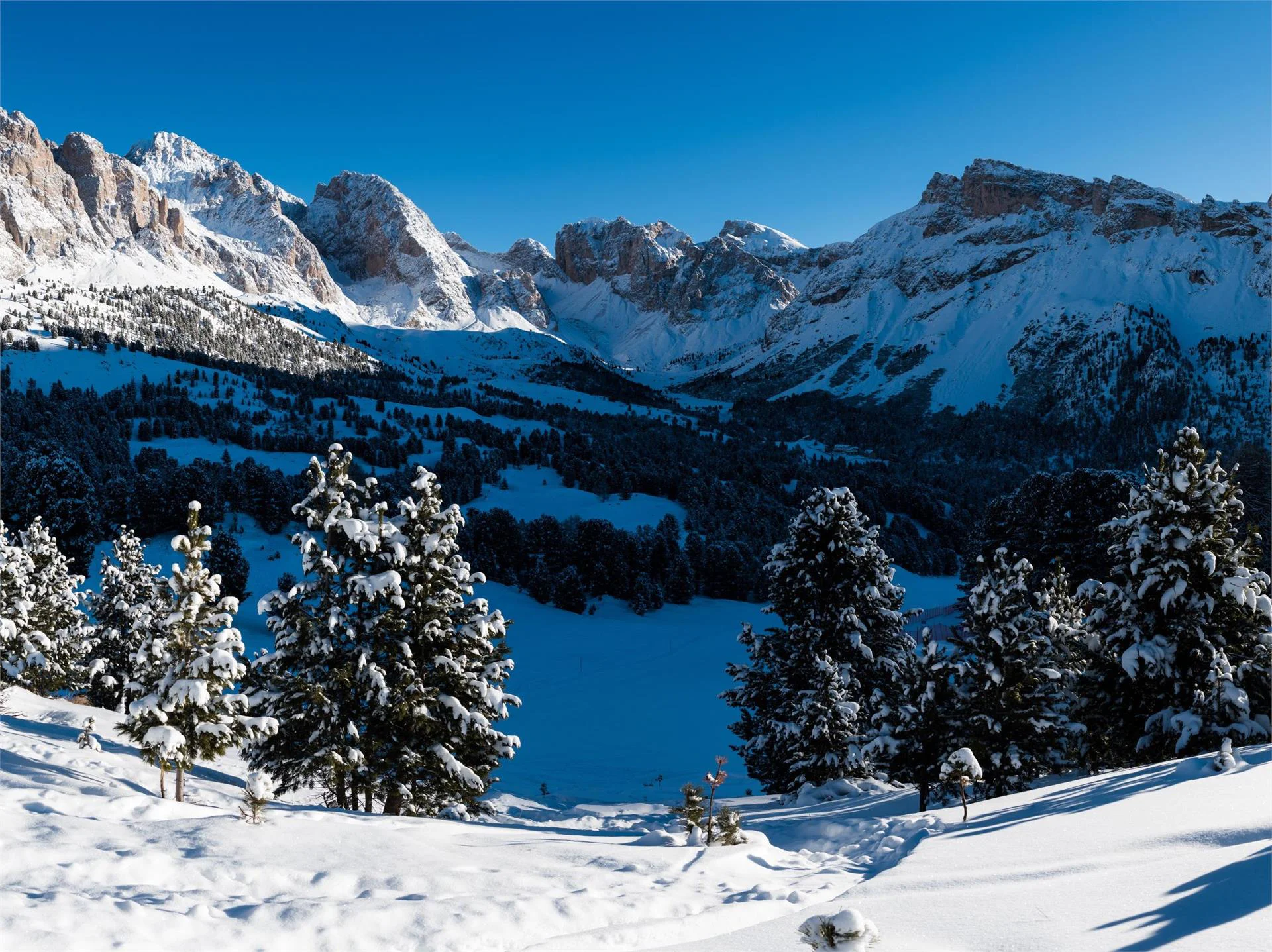 Winter hike admiring the Odle Group Sëlva/Selva 2 suedtirol.info