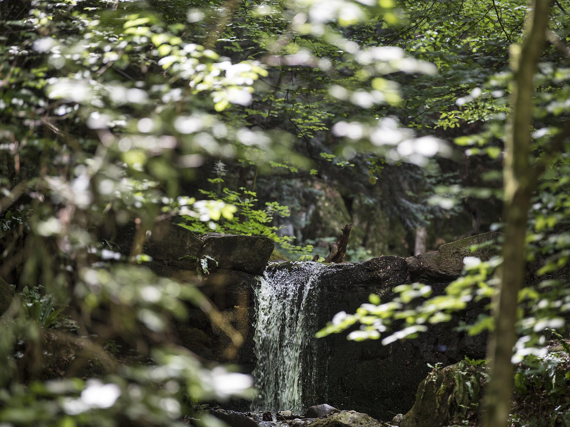 Rastenbachklamm bei Kaltern