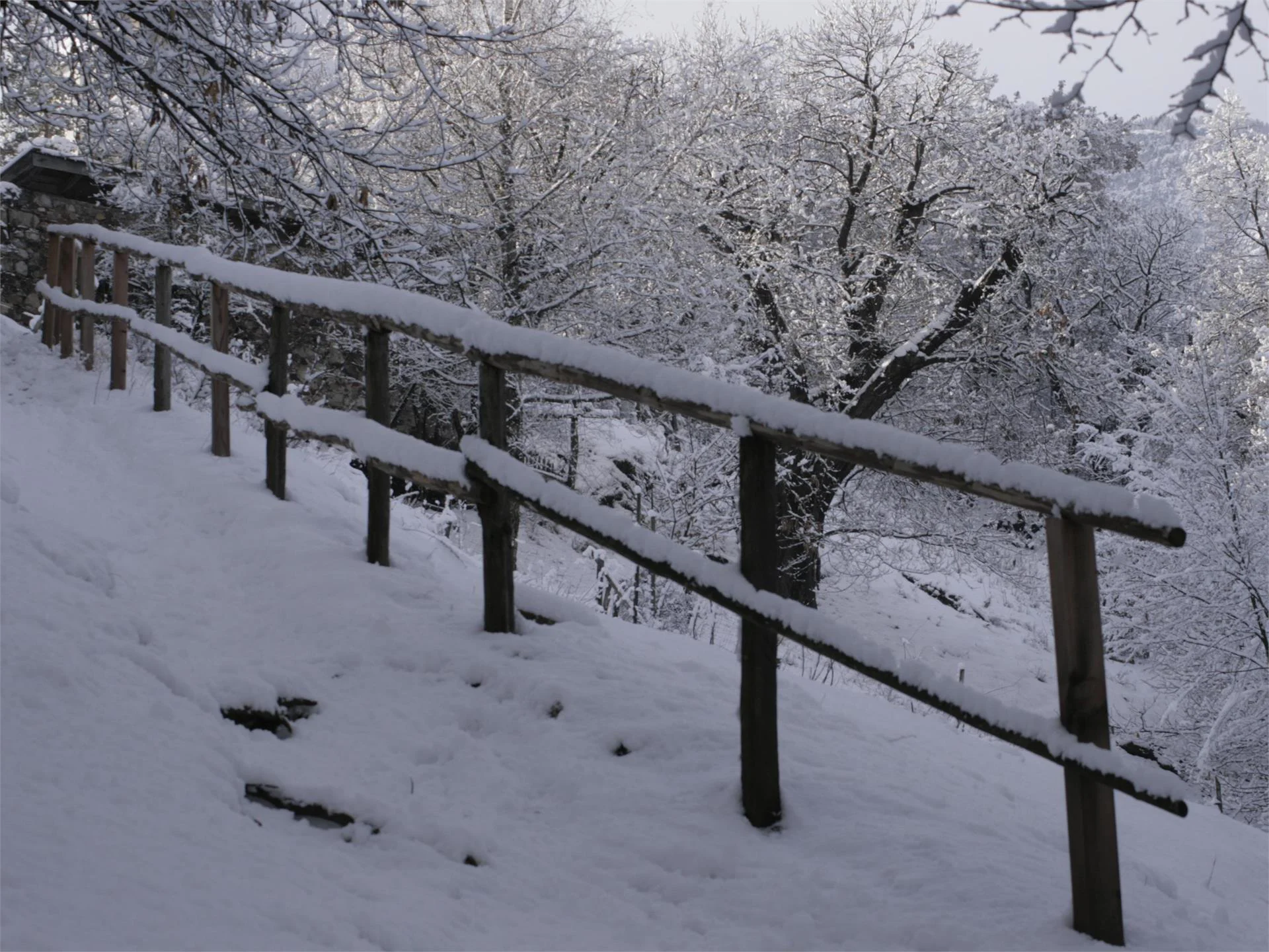 Sentiero panoramico circolare in inverno Tesimo 1 suedtirol.info