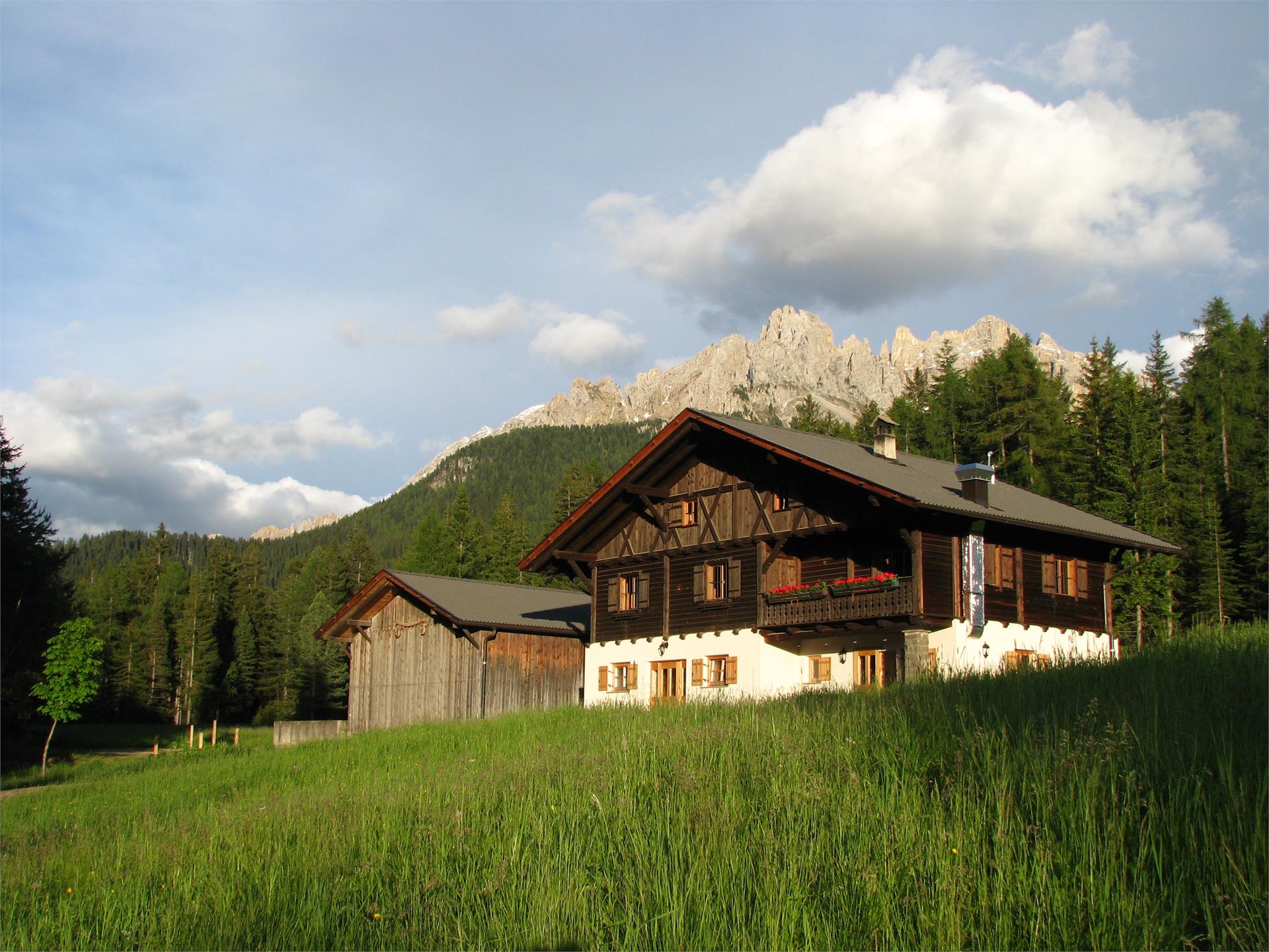 Wanderung über den Samberg Deutschnofen 1 suedtirol.info
