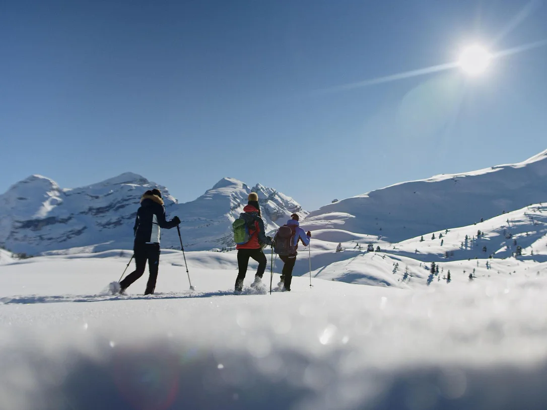Winter hike to the Fanes pasture